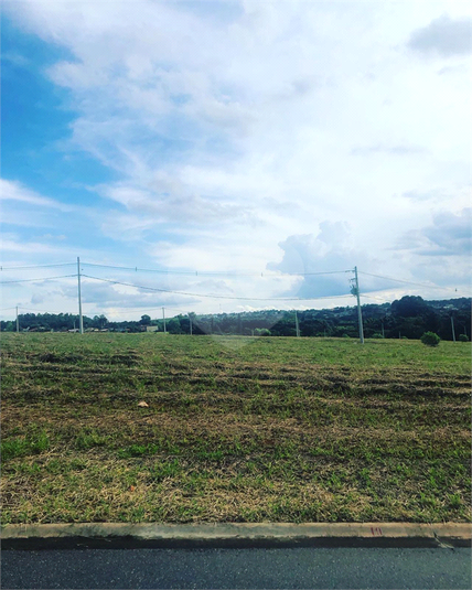 Foto REO1064338