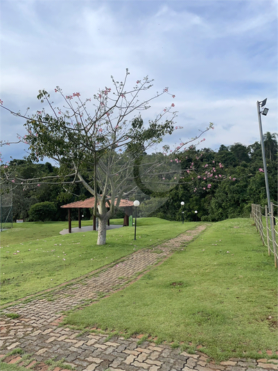 Foto REO1064338