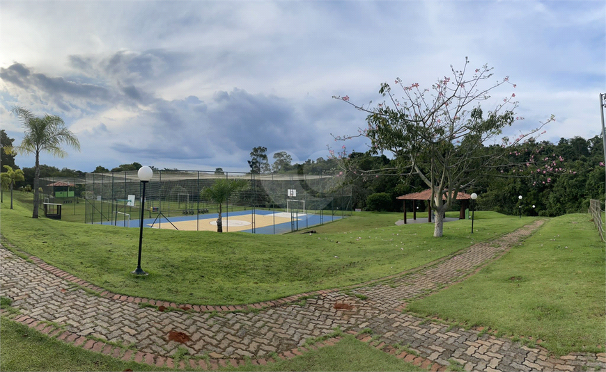 Foto REO1064338