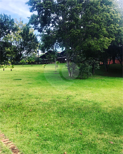 Foto REO1064338