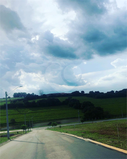 Foto REO1064338
