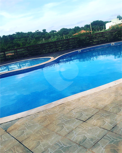 Foto REO1064338