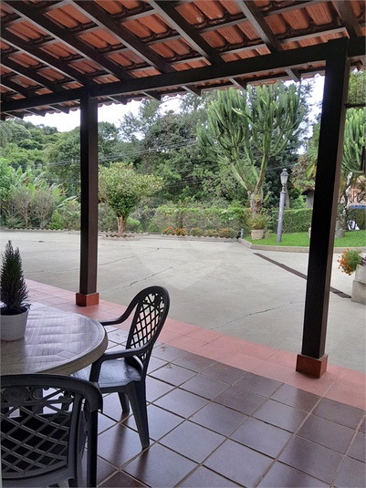 Foto REO1064350