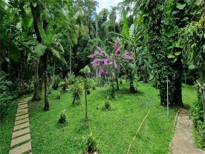 Foto REO1064350