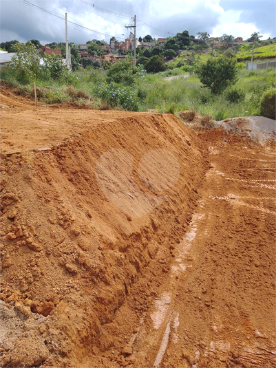 Venda Loteamento Itupeva Residencial Botânica REO1064359 7