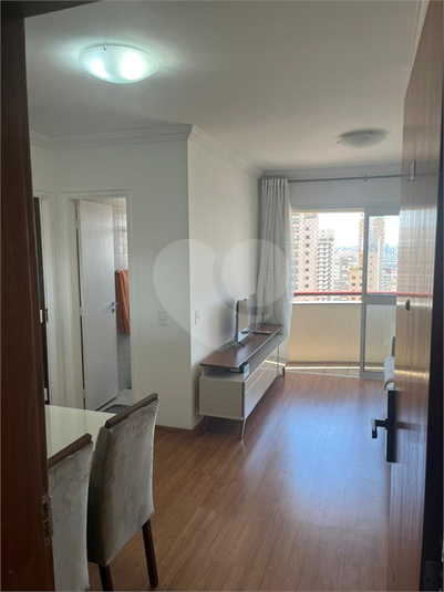 Aluguel Apartamento São Paulo Ipiranga REO1064362 8