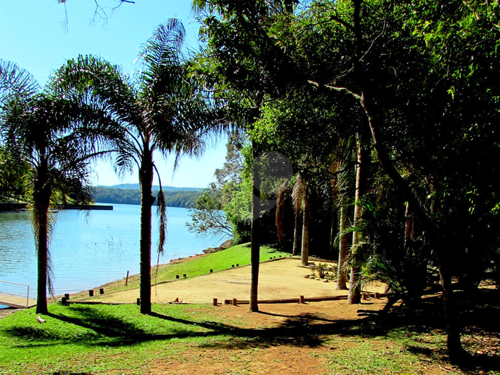 Foto REO1064368