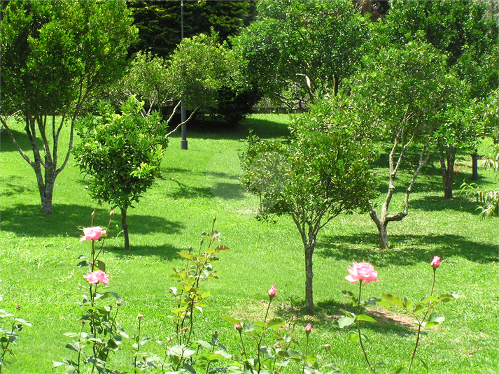 Foto REO1064368