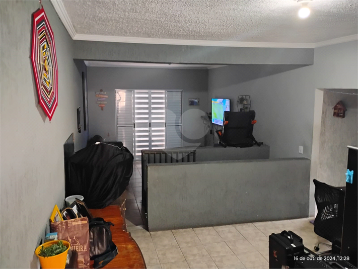 Foto REO1064385