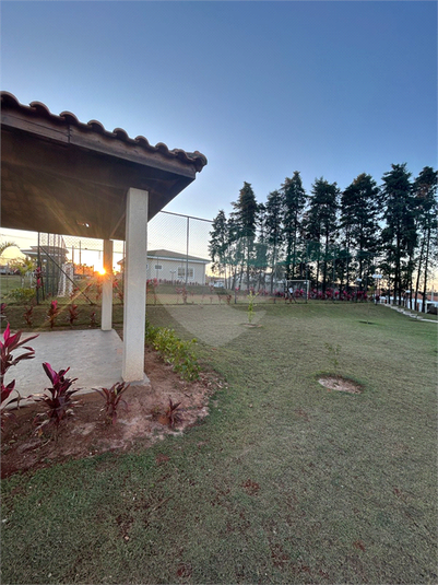 Foto REO1064387