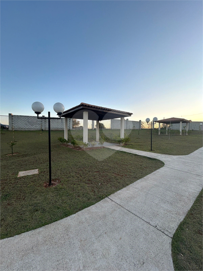 Foto REO1064387