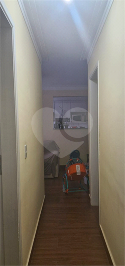 Foto REO1064402
