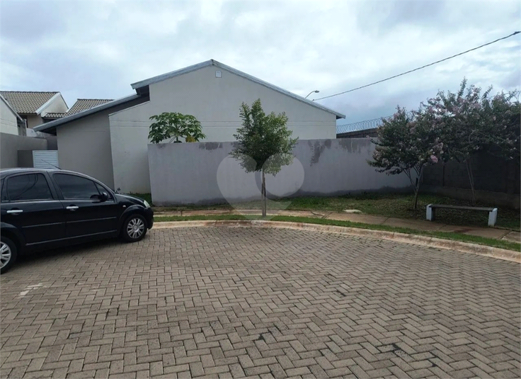 Foto REO1064448