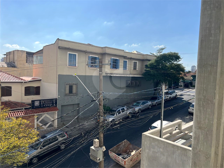 Foto REO1064471