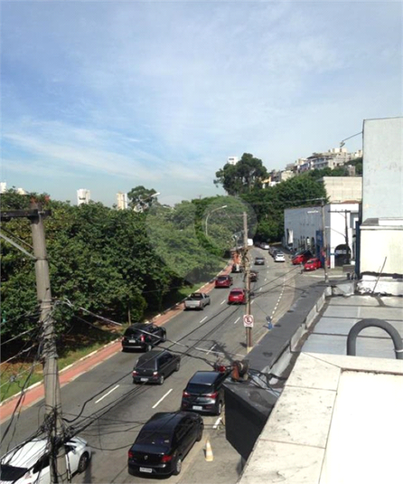 Foto REO1064474