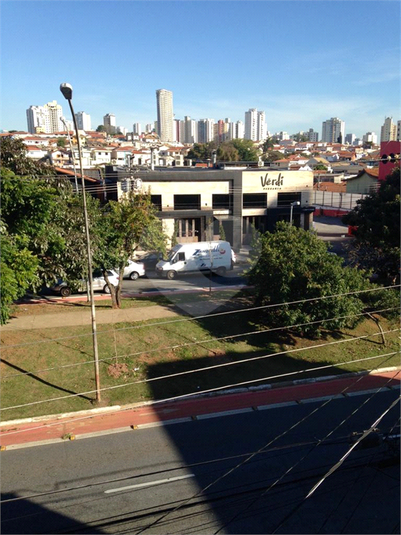 Foto REO1064474