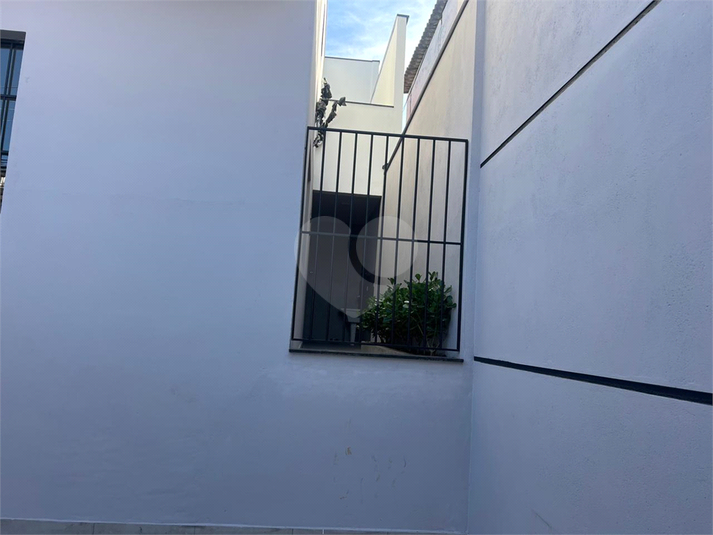 Foto REO1064479