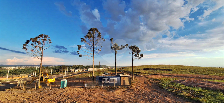 Venda Terreno Lages Vila Maria REO1064503 5