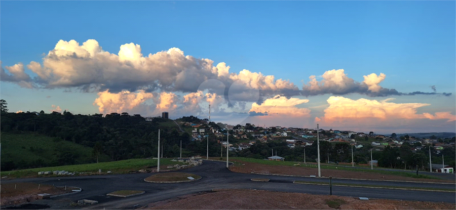 Venda Terreno Lages Vila Maria REO1064503 6