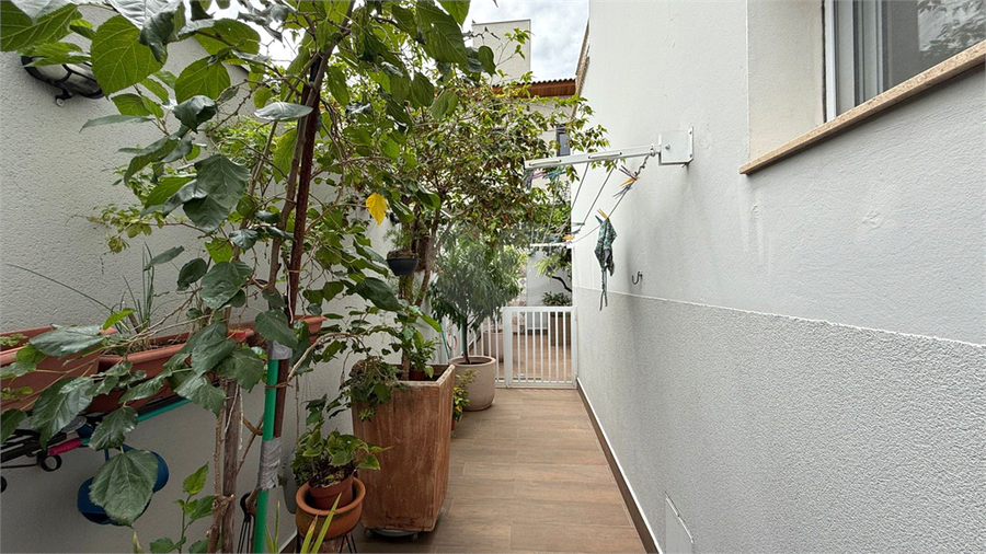 Foto REO1064504
