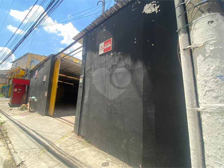 Foto REO1064514