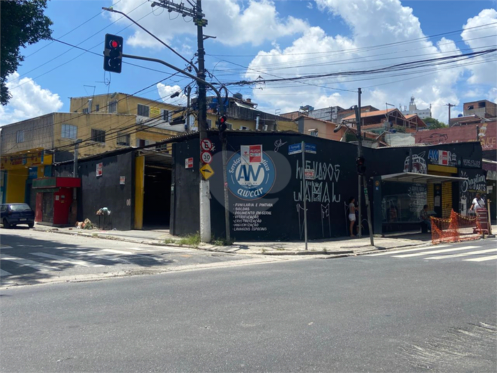 Foto REO1064514