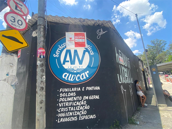 Foto REO1064514