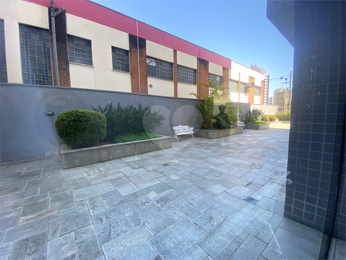 Foto REO1064566