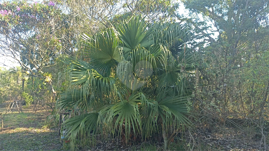 Venda Chácara Araçoiaba Da Serra Centro REO1064569 21