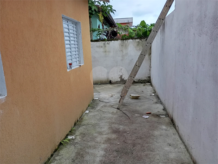 Foto REO1064578