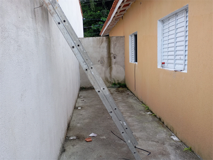 Foto REO1064578