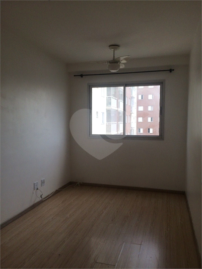 Foto REO1064587