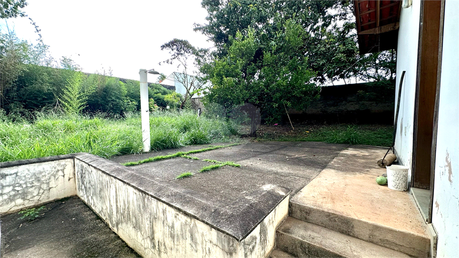 Foto REO1064593