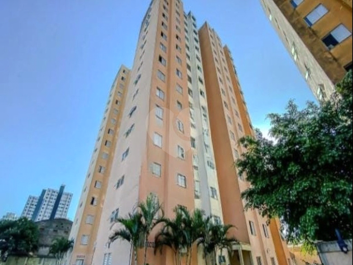 Venda Apartamento São Paulo Brás REO1064609 5