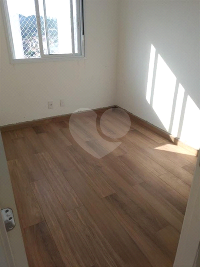 Foto REO1064611