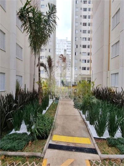 Venda Apartamento São Paulo Jardim Íris REO1064671 21