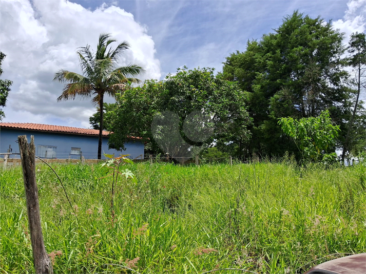 Foto REO1064712