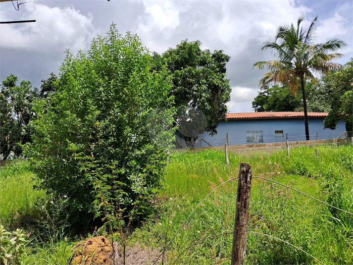 Foto REO1064712