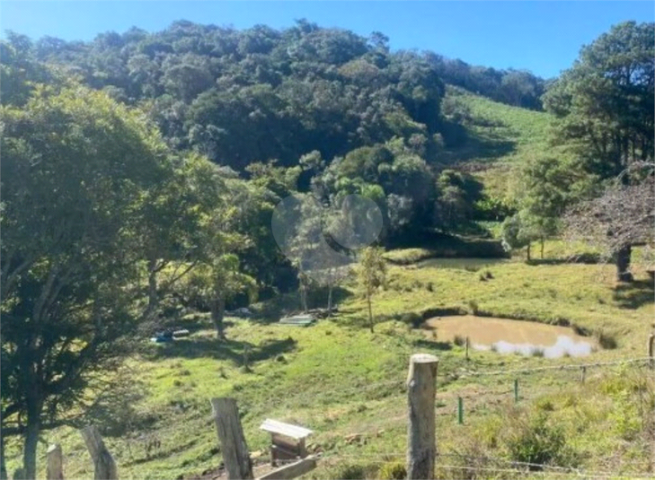 Venda Chácara Quitandinha Cerro Verde REO1064867 5