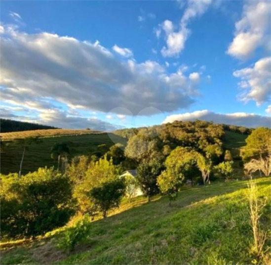 Venda Chácara Quitandinha Cerro Verde REO1064867 6