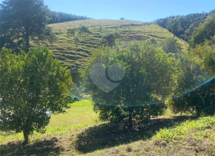 Venda Chácara Quitandinha Cerro Verde REO1064867 15