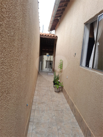 Foto REO1064929