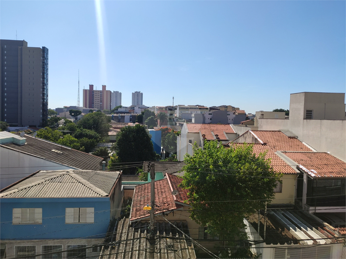 Foto REO1064972
