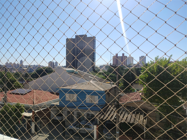 Foto REO1064972