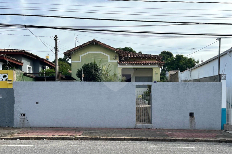 Foto REO1064980