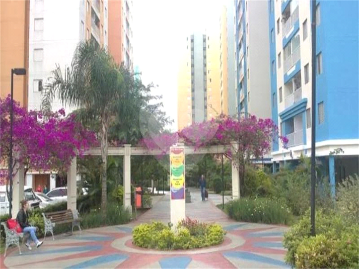 Foto REO1065061