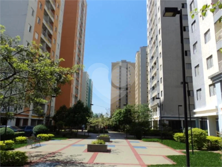 Foto REO1065061