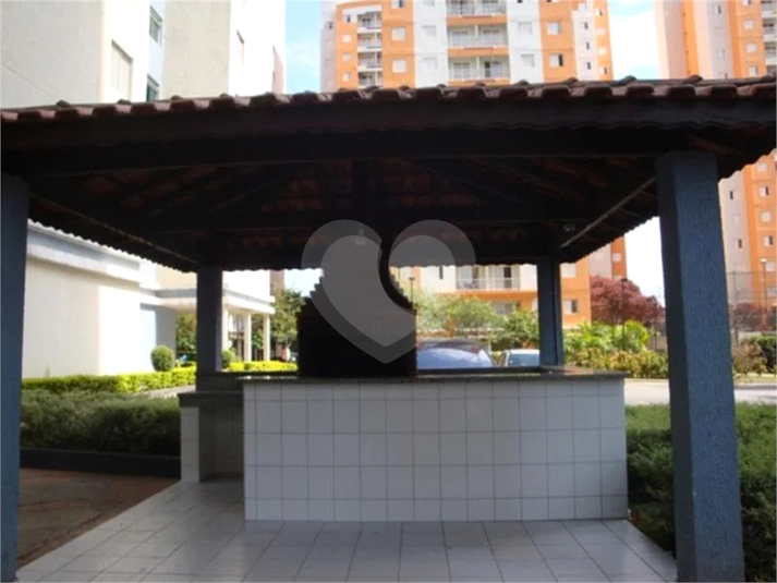 Foto REO1065061