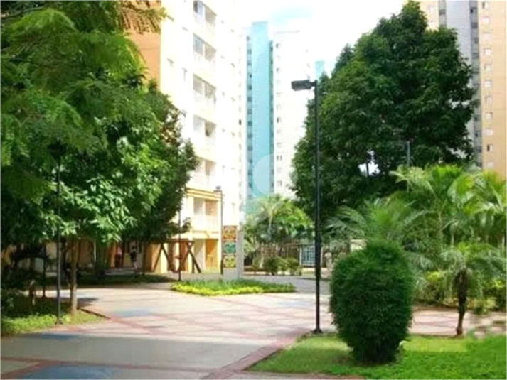 Foto REO1065061