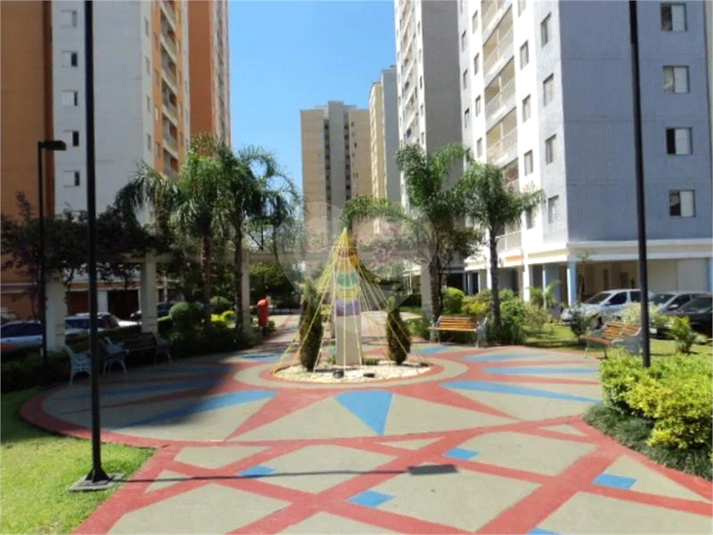 Foto REO1065061